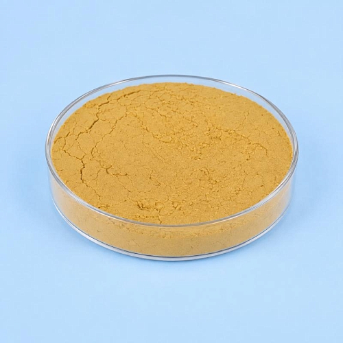 Protease Powder, 100 гр артикул VV26091511