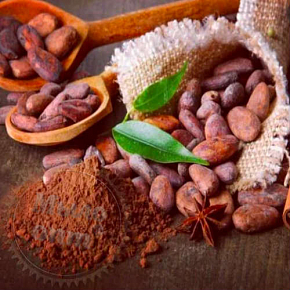 Купить Какао бобы тертые Гана, 10 гр в Украине