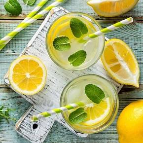 Купить Ароматизатор пищевой Lemon Mint Te, 1 литр в Украине