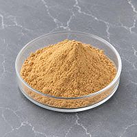 Sagan Daylya Leaf Extract 5 g cosmetic ingredient Mylo Opt