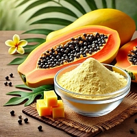 Papaya Extract 10% Powder 1 kg