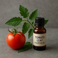 Tomato Leaf Essential Oil, 100 мл описание и применение