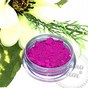 Купить Флуоресцентный пигмент Фиолетовый, НТ 807, 5 грамм в Украине