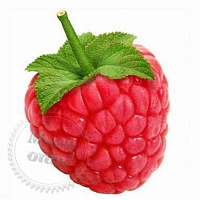 Flavor food Rockin Raspberry, 1 L
