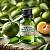 Green Mandarin Essential Oil, 10 ml, photos, reviews, use