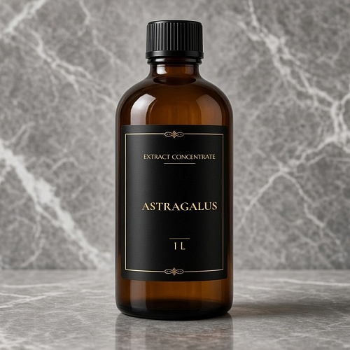 Astragalus Extract (concentrate) 1 L