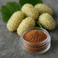 Порошок Шелковицы белой, 100 гр описание и применение