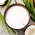 Актив Lait de coco BIO 1кг