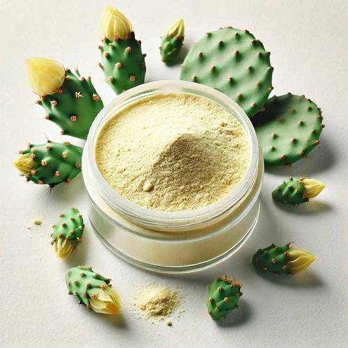 Prickly Pear Extract Powder 100 g, photos, reviews, use