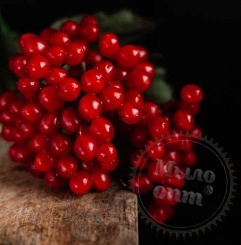 Экстракт сухой Калины, 1 кг