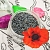 Poppy blue 50 g cosmetic ingredient Mylo Opt