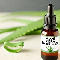 Aloe Vera essential oil, 5 ml