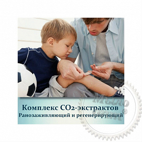 Купить Комплекс СО2 Ранозаживляющий и регенерирующий, 100 гр в Украине