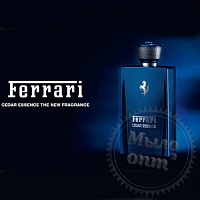Cedar Essence Men by Ferrari Fragrance Oil, 100 ml