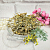 Dried flowers Bitter wormwood, 1 kg, photos, reviews, use