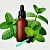 Mint Flavor Extract 100 ml cosmetic ingredient Mylo Opt