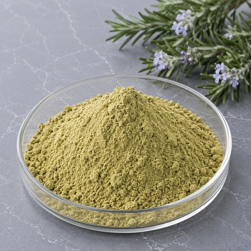 Сухой экстракт Розмарина, 1 кг артикул K50007