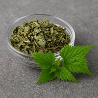 Сухоцвет Крапивы, 1 кг описание и применение