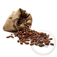 Powder cocoa seed extract, 10 g