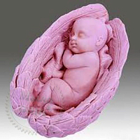 Купить Силиконовая форма Младенец в крыльях, 3D в Украине