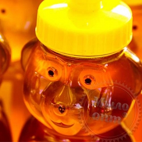 Купить Отдушка Honey Bear, 1 литр в Украине