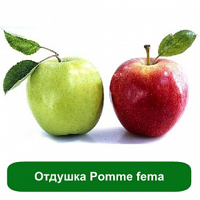 Купить Отдушка Pomme fema, 1 литр в Украине