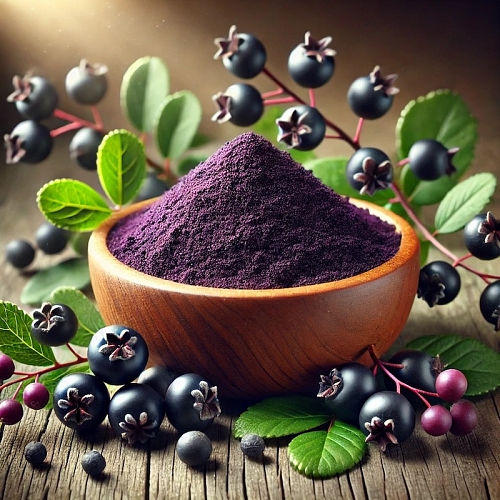 Aronia Extract Powder 5 g