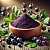 Aronia Extract Powder 5 g, photos, reviews, use