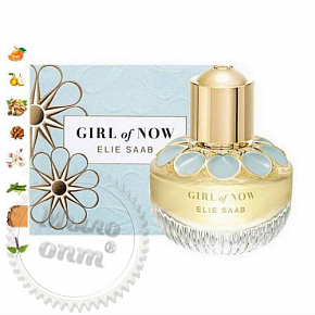 Купить Отдушка Girl Of Now, Elie Saab, 1 л в Украине