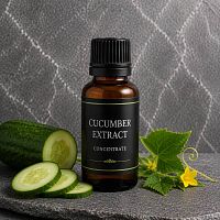 Экстракт Огурца, 50 мл артикул 900058