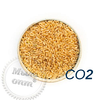 Экстракт СО2 Рисовой мучели, 100 гр