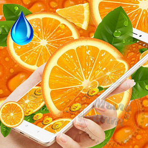 Купить Водорастворимая отдушка Orange Festival, 1 литр в Украине