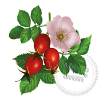 Rosehip oil extract 2, 1 liter