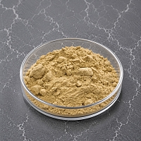 Brahmi Bacopa Monnieri Extract Powder 1 kg cosmetic ingredient Mylo Opt