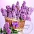 Dried flowers Common lilac buds 1 kg cosmetic ingredient Mylo Opt