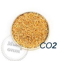 Купить Экстракт СО2 Рисовой мучели, 1 кг в Украине