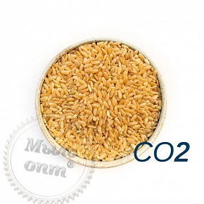Купить Экстракт СО2 Рисовой мучели, 1 кг в Украине