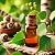 Black birch essential oil, 10 ml, photos, reviews, use