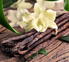 Fragrance Oil Vanilla pods, 1 L