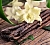 Fragrance Oil Vanilla pods, 1 L, photos, reviews, use