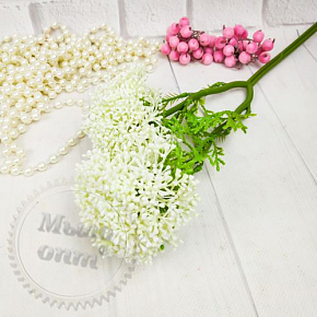 Купить Цветок чеснока двойной, Белый в Украине