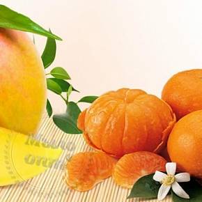 Купить Ароматизатор пищевой Mango & Tangerine, 1 литр в Украине