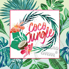 Купить Водорастворимая отдушка Coco Jungle, 1 литр в Украине
