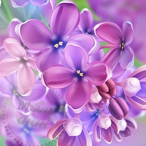 Купить Отдушка Lilac in Bloom, 1 литр в Украине