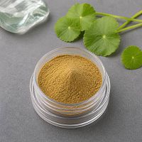 Centella Asiatica extract powder 100 g cosmetic ingredient Mylo Opt