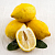 Купить Сухая гранулированная отдушка Лимон Sauvage, 1 кг в Украине