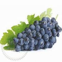 Купить Ароматизатор Concord Grape Stevia, 1 литр в Украине