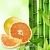 Bamboo and White Grapefruit Fragrance Oil, 1 L, photos, reviews, use