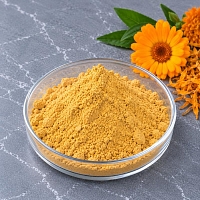 Calendula Extract Powder 51 1 kg cosmetic ingredient Mylo Opt