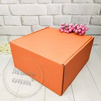 Box Novelty Coral